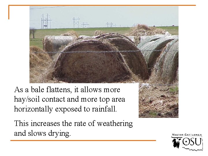 As a bale flattens, it allows more hay/soil contact and more top area horizontally