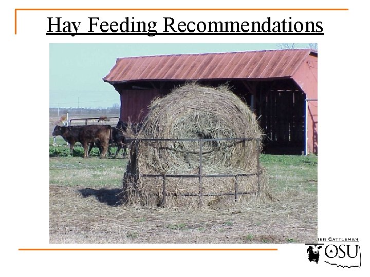Hay Feeding Recommendations 