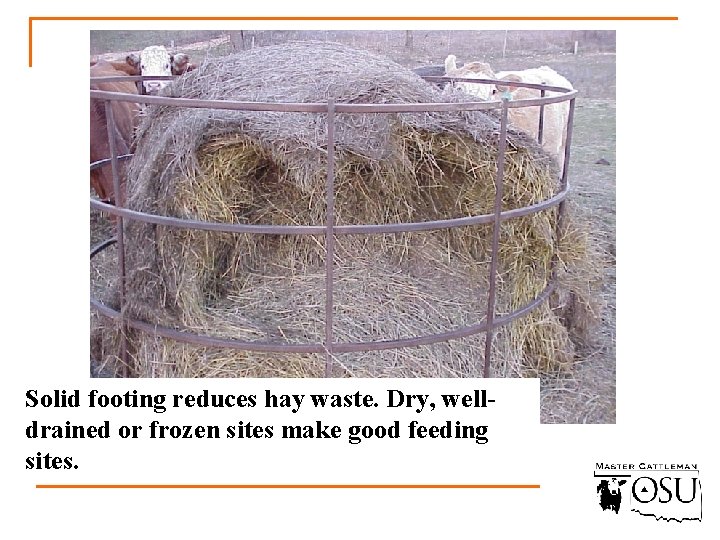 Solid footing reduces hay waste. Dry, welldrained or frozen sites make good feeding sites.