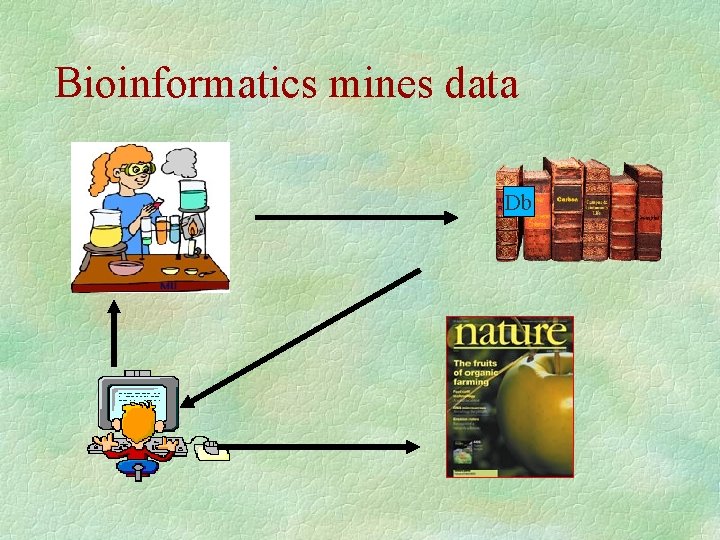 Bioinformatics mines data Db 