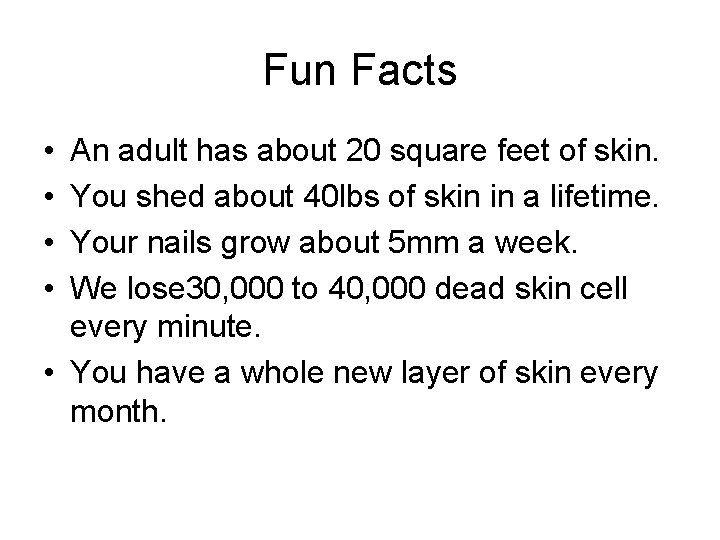 Fun Facts • • An adult has about 20 square feet of skin. You