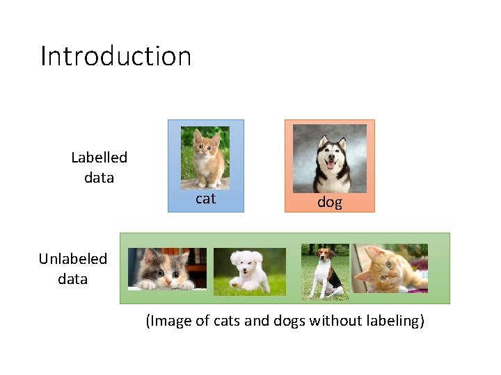 Introduction Labelled data cat dog Unlabeled data (Image of cats and dogs without labeling) Introduction Labelled data cat dog Unlabeled data (Image of cats and dogs without labeling)