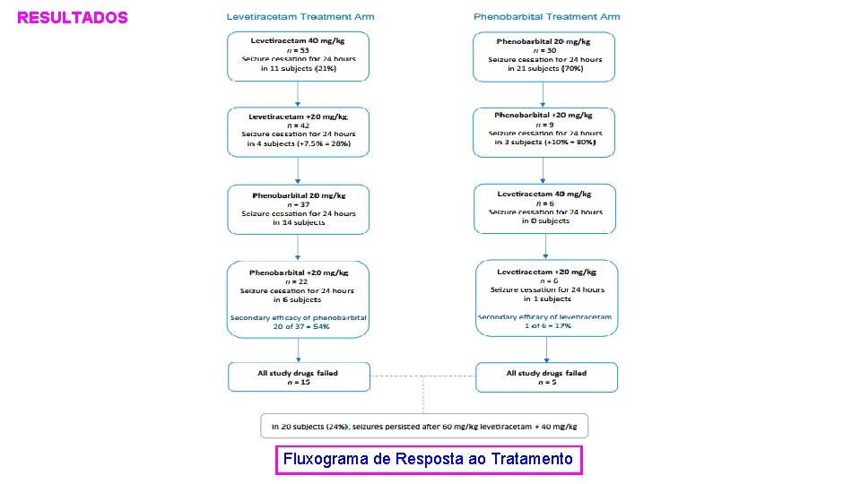 RESULTADOS Fluxograma de Resposta ao Tratamento 