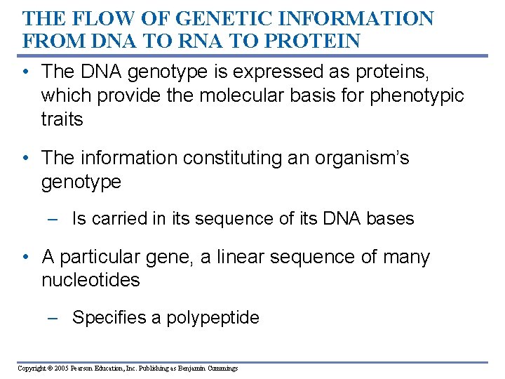 THE FLOW OF GENETIC INFORMATION FROM DNA TO RNA TO PROTEIN • The DNA