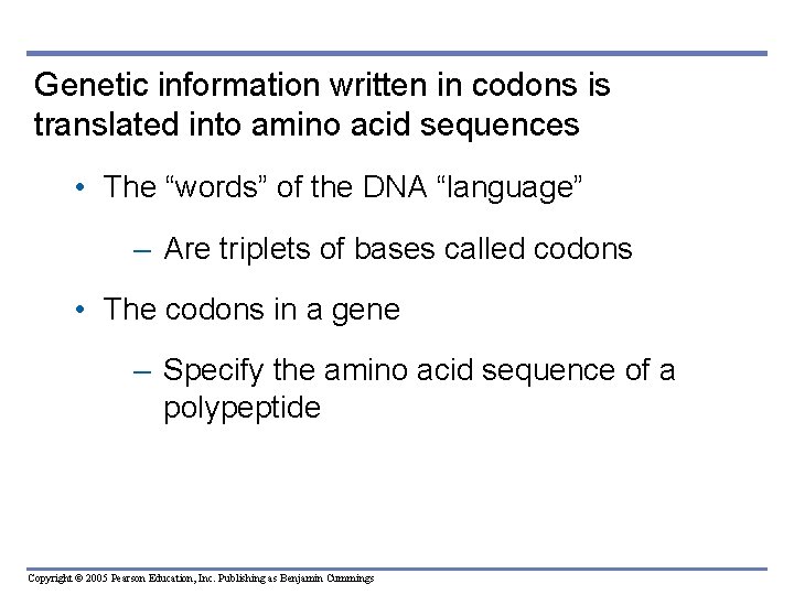 Genetic information written in codons is translated into amino acid sequences • The “words”
