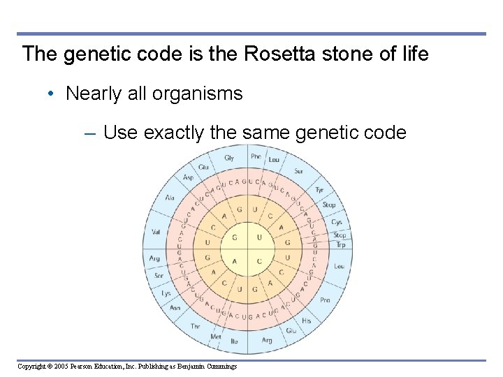 The genetic code is the Rosetta stone of life • Nearly all organisms –