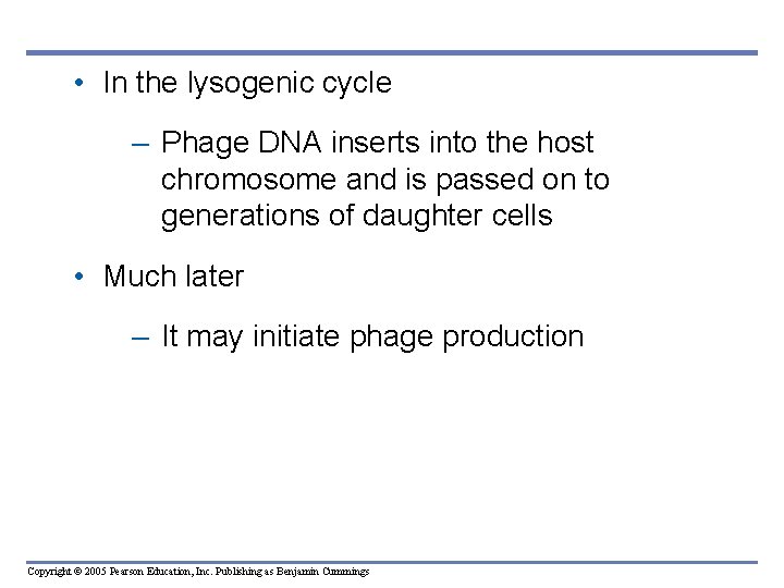  • In the lysogenic cycle – Phage DNA inserts into the host chromosome