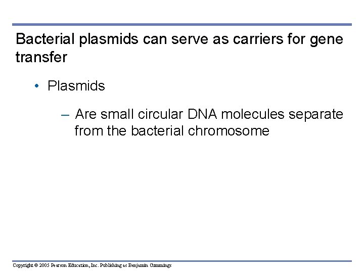 Bacterial plasmids can serve as carriers for gene transfer • Plasmids – Are small