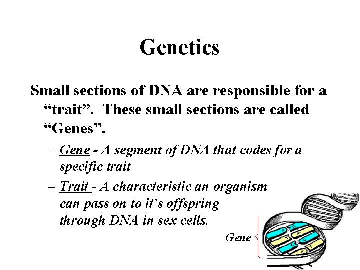 Genetics Small sections of DNA are responsible for a “trait”. These small sections are