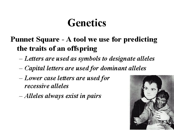 Genetics Punnet Square - A tool we use for predicting the traits of an