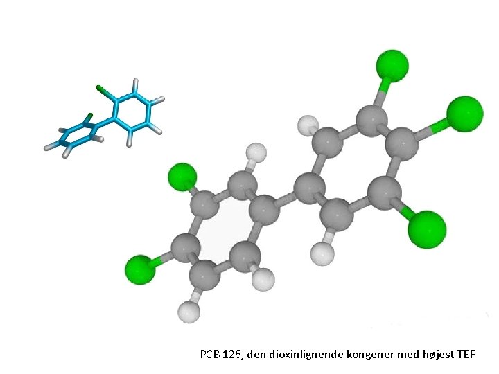 PCB 126, den dioxinlignende kongener med højest TEF 