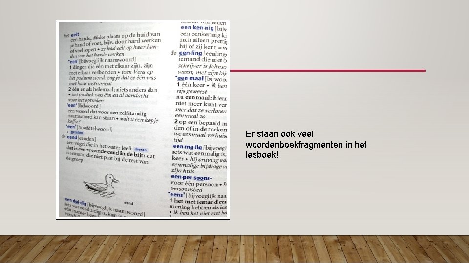 Er staan ook veel woordenboekfragmenten in het lesboek! 