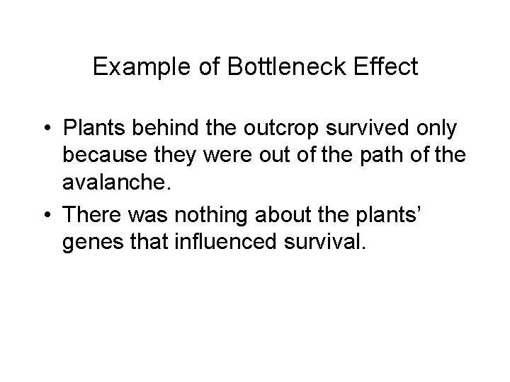 Example of Bottleneck Effect • Plants behind the outcrop survived only because they were