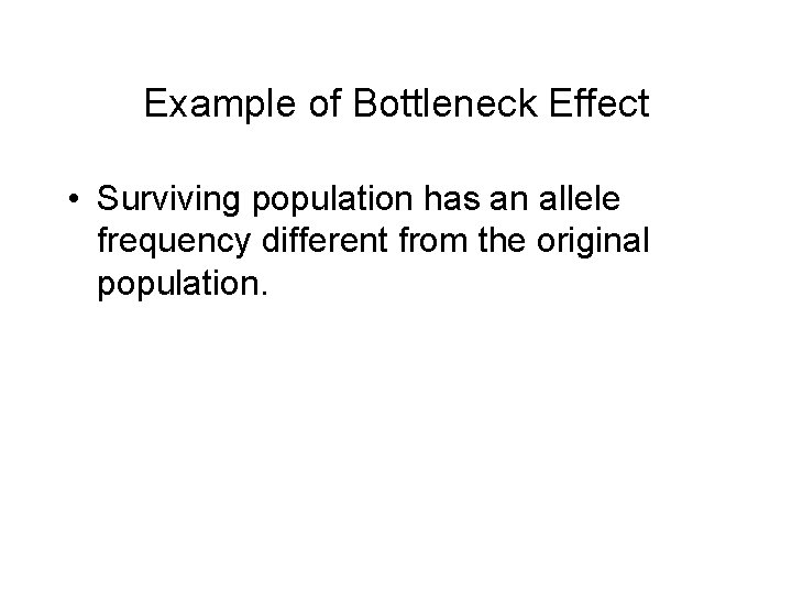 Example of Bottleneck Effect • Surviving population has an allele frequency different from the