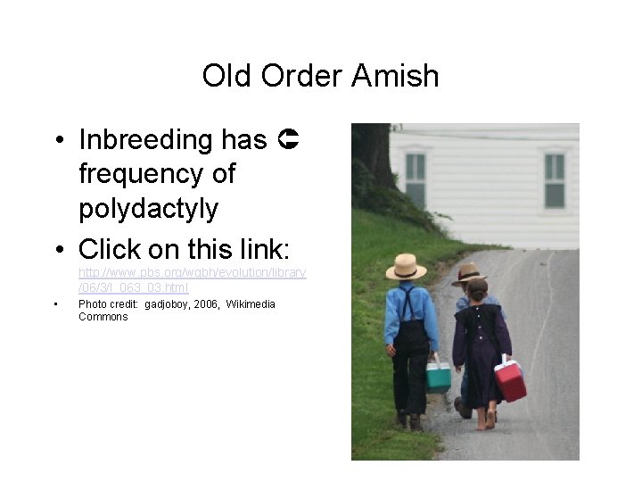 Old Order Amish • Inbreeding has frequency of polydactyly • Click on this link: