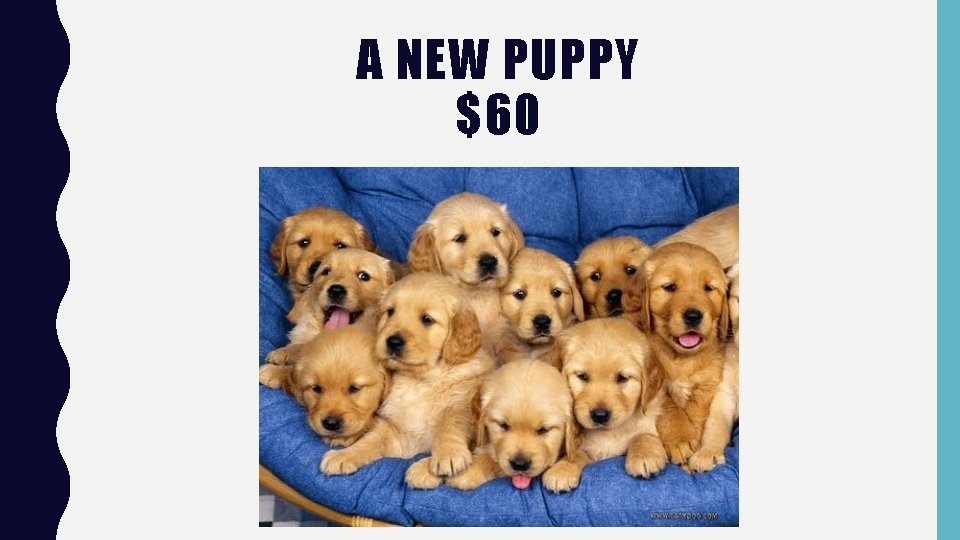 A NEW PUPPY $60 