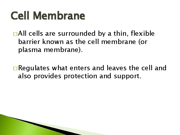 Cell Membrane � All cells are surrounded by a thin, flexible barrier known as