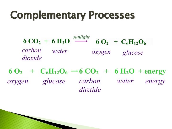 Complementary Processes 