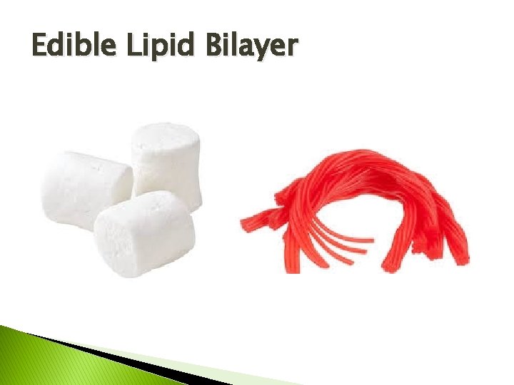 Edible Lipid Bilayer 