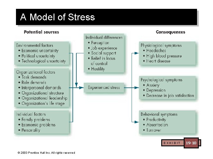 A Model of Stress EXHIBIT © 2003 Prentice Hall Inc. All rights reserved 19