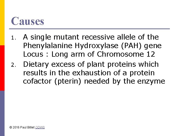 Causes 1. 2. A single mutant recessive allele of the Phenylalanine Hydroxylase (PAH) gene