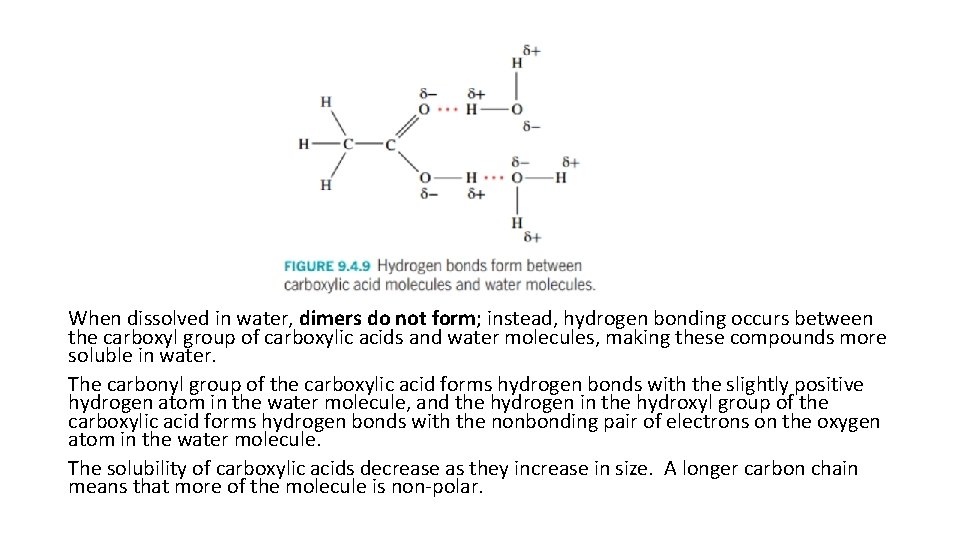 When dissolved in water, dimers do not form; instead, hydrogen bonding occurs between the
