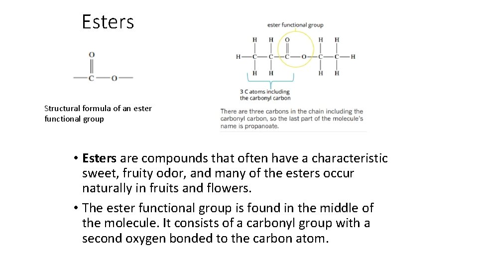 Esters Structural formula of an ester functional group • Esters are compounds that often