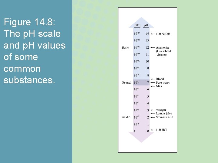 Figure 14. 8: The p. H scale and p. H values of some common