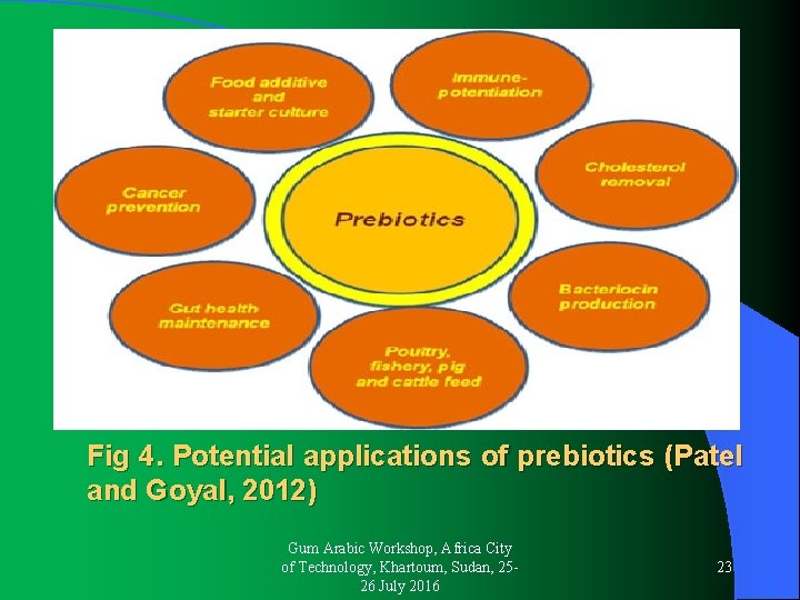 Fig 4. Potential applications of prebiotics (Patel and Goyal, 2012) Gum Arabic Workshop, Africa