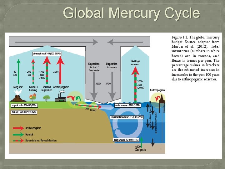 Global Mercury Cycle 