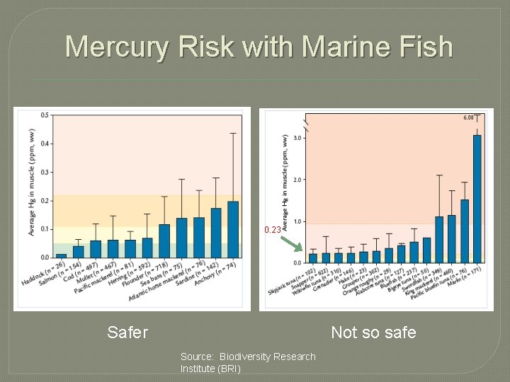 Mercury Risk with Marine Fish 0. 23 Safer Not so safe Source: Biodiversity Research