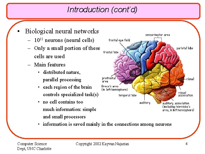 Introduction (cont’d) • Biological neural networks – 1011 neurons (neural cells) – Only a