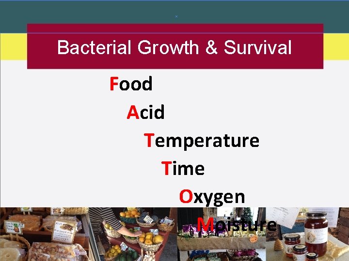 Bacterial Growth & Survival Food Acid Temperature Time Oxygen Moisture 