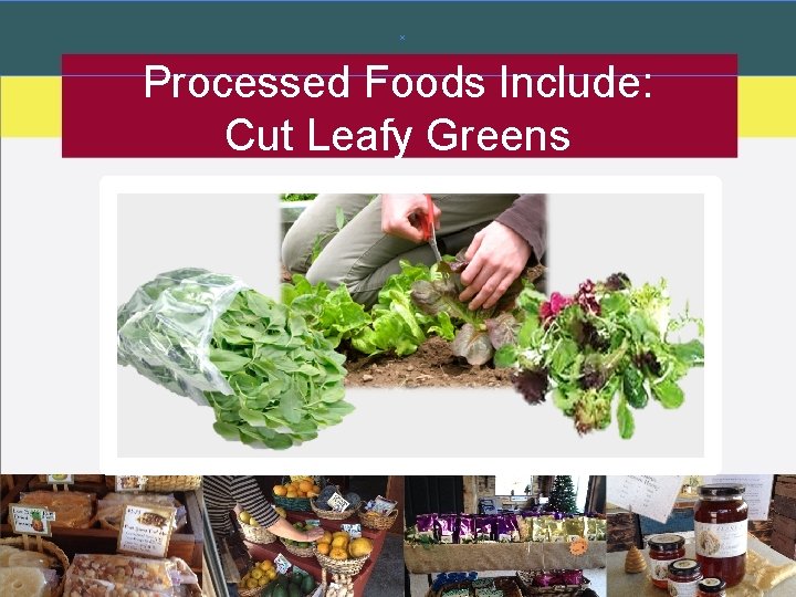 Processed Foods Include: Cut Leafy Greens 