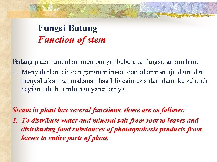 Fungsi Batang Function of stem Batang pada tumbuhan mempunyai beberapa fungsi, antara lain: 1.