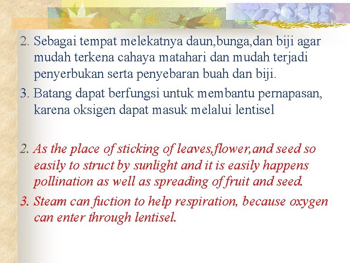 2. Sebagai tempat melekatnya daun, bunga, dan biji agar mudah terkena cahaya matahari dan