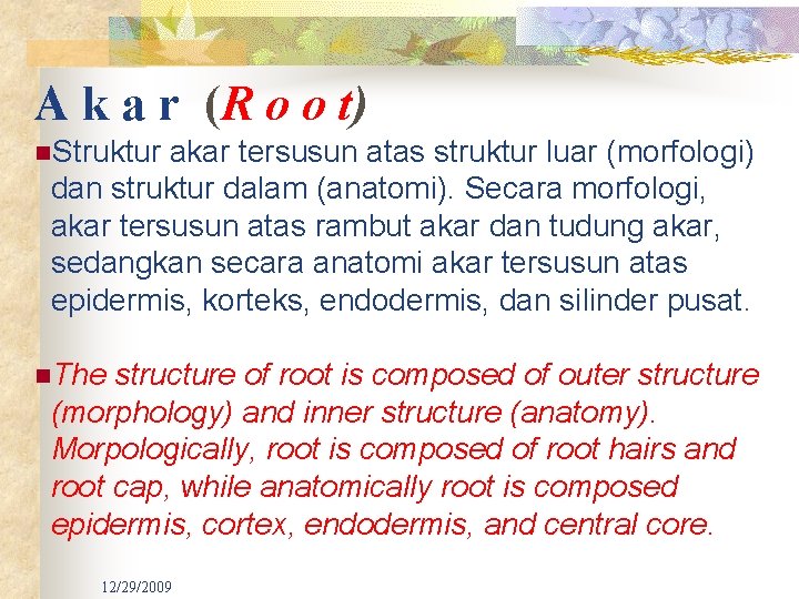 A k a r (R o o t) n. Struktur akar tersusun atas struktur