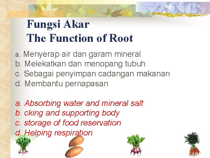 Fungsi Akar The Function of Root a. Menyerap air dan garam mineral b. Melekatkan