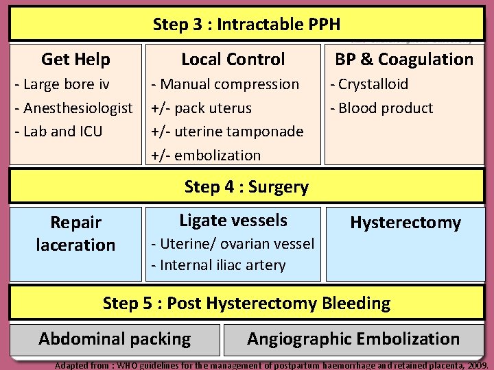 Step 3 : Intractable PPH Get Help - Large bore iv - Anesthesiologist -