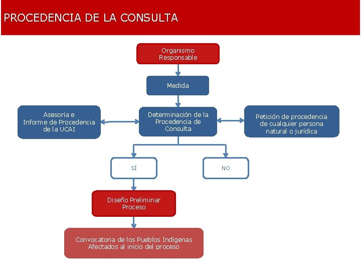 PROCEDENCIA DE LA CONSULTA Organismo Responsable Medida Determinación de la Procedencia de Consulta Asesoría