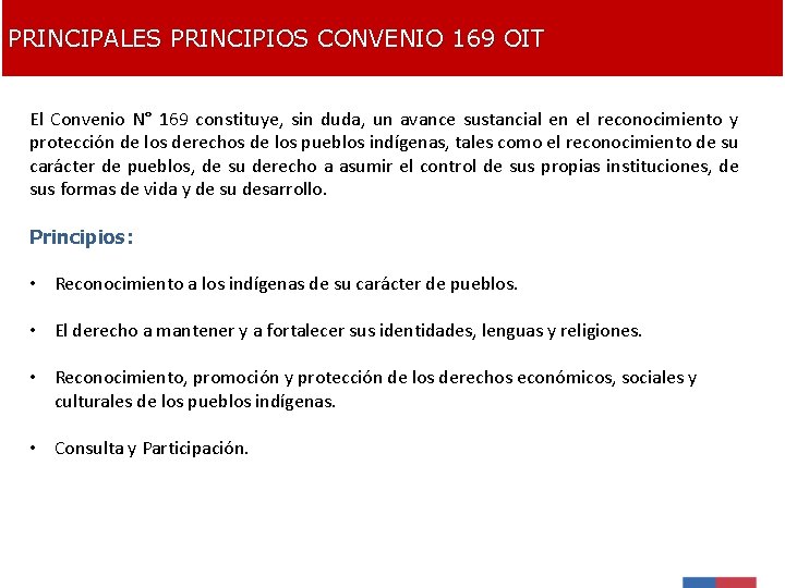 PRINCIPALES PRINCIPIOS CONVENIO 169 OIT El Convenio N° 169 constituye, sin duda, un avance