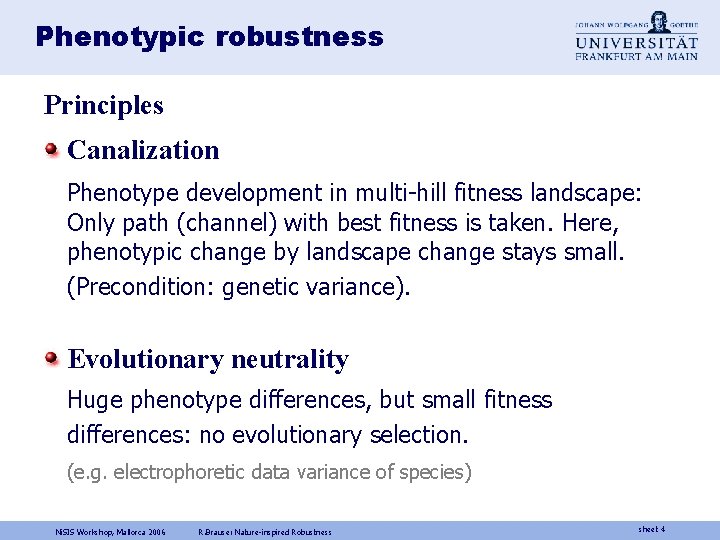 Phenotypic robustness Principles Canalization Phenotype development in multi-hill fitness landscape: Only path (channel) with