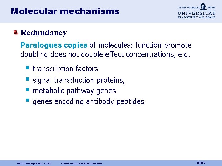 Molecular mechanisms Redundancy Paralogues copies of molecules: function promote doubling does not double effect