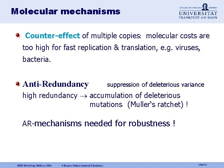 Molecular mechanisms Counter-effect of multiple copies: molecular costs are too high for fast replication