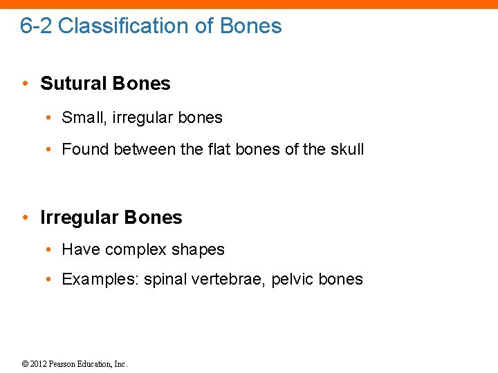 6 -2 Classification of Bones • Sutural Bones • Small, irregular bones • Found