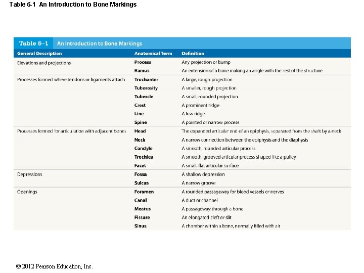 Table 6 -1 An Introduction to Bone Markings © 2012 Pearson Education, Inc. 