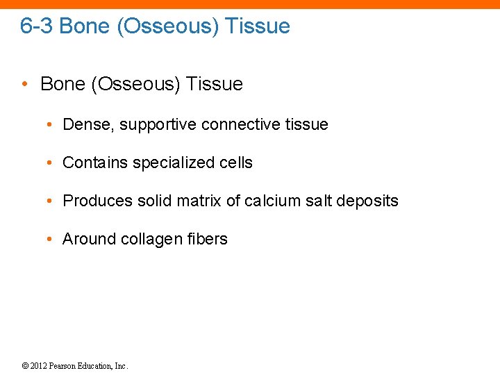 6 -3 Bone (Osseous) Tissue • Dense, supportive connective tissue • Contains specialized cells