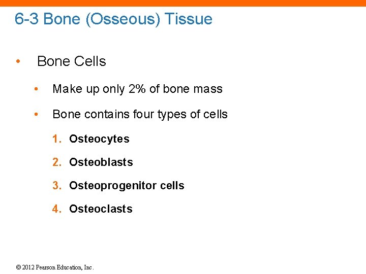6 -3 Bone (Osseous) Tissue • Bone Cells • Make up only 2% of