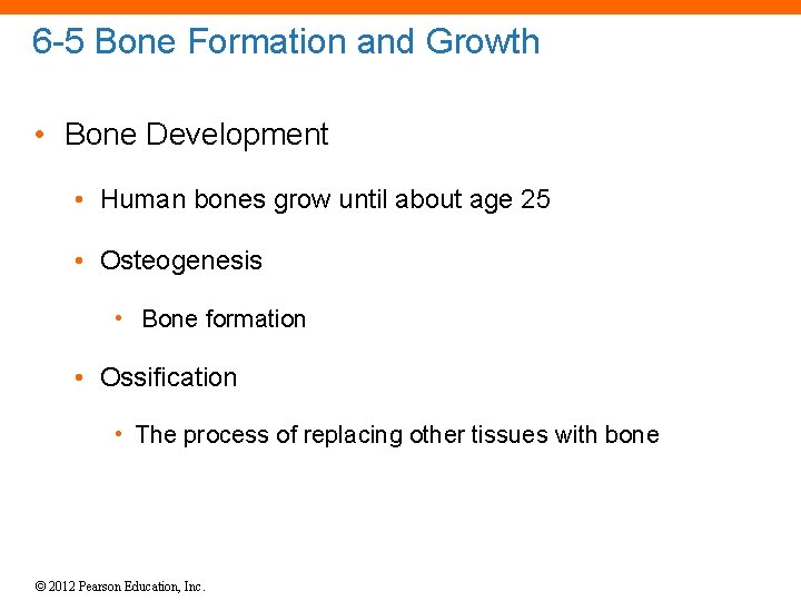 6 -5 Bone Formation and Growth • Bone Development • Human bones grow until