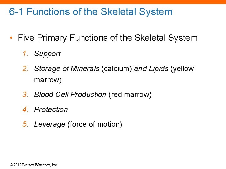 6 -1 Functions of the Skeletal System • Five Primary Functions of the Skeletal